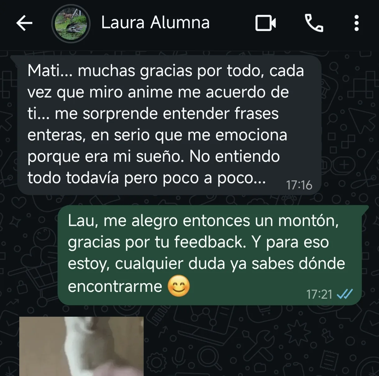 Mensaje de Laura sobre entender frases enteras al ver anime